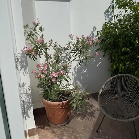 公寓 Cavour59 巴勒莫