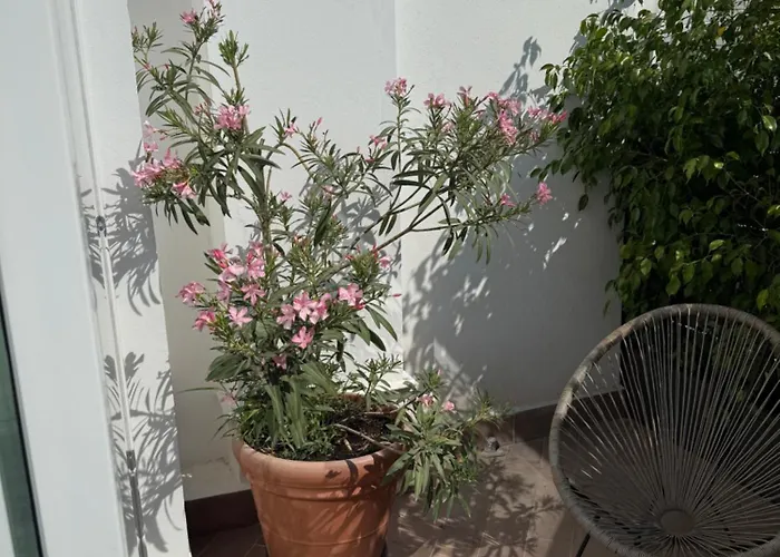 Apartman Cavour59 Palermo